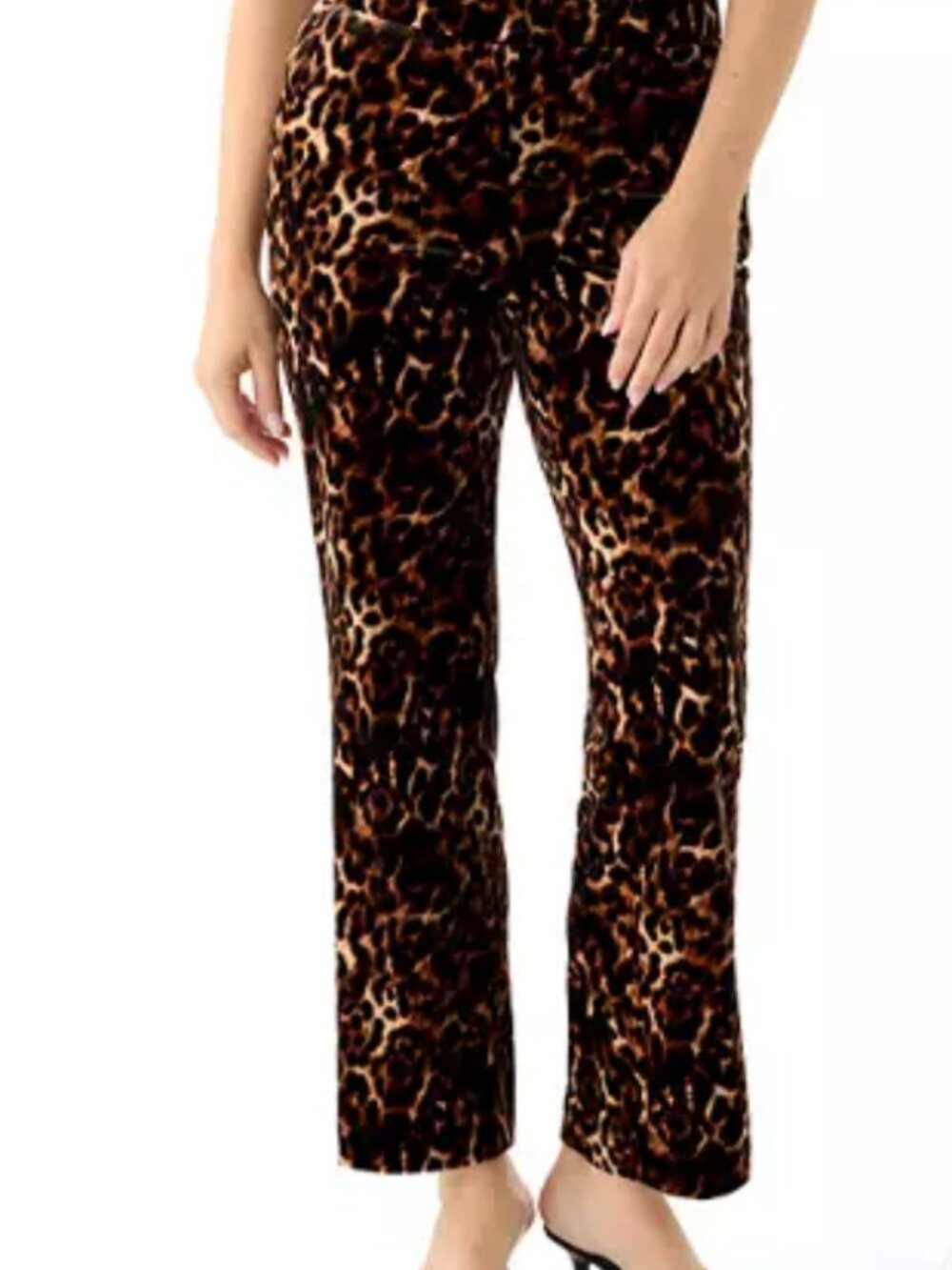 Velvet Leopard Flare Pants by Anne Klein